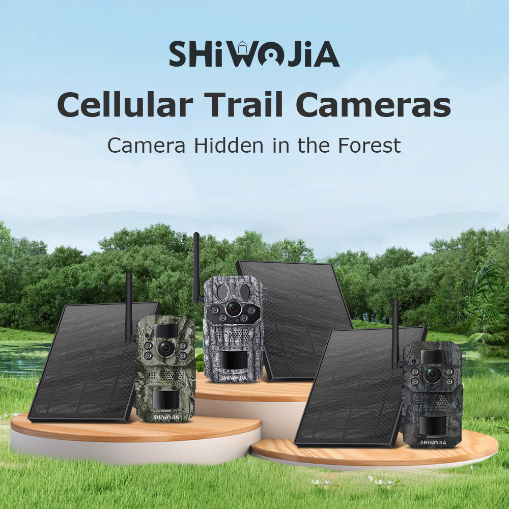 Trail Camera